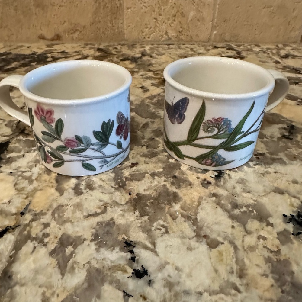 Vintage Portmeirion Botanic Garden tea cups **Set of 2